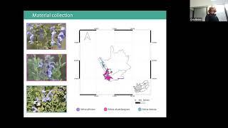 Exploring the medicinal and aromatic properties of southern African Lamiaceae