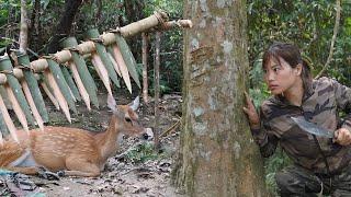Deer trapping, bird hunting, turkey trapping, cooking, natural survival skills,wild survival alone
