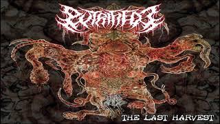 PUTRIFIED J - THE LAST HARVEST (2011)  FULL ALBUM 