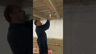 Dawood Khan Poultry Farming Sargodha