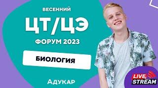 Биология ЦТ, ЦЭ 2023 | Весенний ЦТ, ЦЭ-форум для абитуриентов | Решение задач по биологии