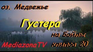 #рр4 оз.Медвежье Густера 21.05