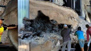 surprising and unexpected discovery while sawing teak wood at sawmill