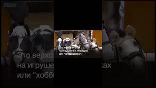 Лучшее занятие  #shorts #прикол #юмор #угар #смех #мем #хаха #хоббихорсинг