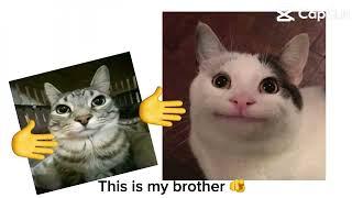 ThE sIbLiNg SoNg!
