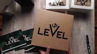 Level Up Блогер бокс для Дава Дым