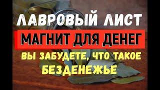 Лавровый лист для привлечения денег! ВЫ ЗАБУДЕТЕ, ЧТО ТАКОЕ БЕЗДЕНЕЖЬЕ!