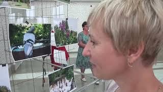Общественная жизнь района
