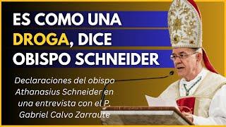 Athanasius Schneider habla del movimiento Hakuna, Effetá y del pentecostalismo