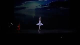 Stars Gala 2022 / The Dying Swan / Svetlana Bednenko