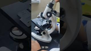 Haemocytometer physiology practical | RBC,WBC Count check#mbbs#practical#physiology #rimtuniversity