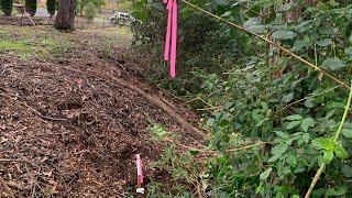 Surveyor finds - boundary fence wrong!