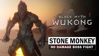 Black Myth Wukong - Stone Monkey Boss Fight (No Damage Taken)