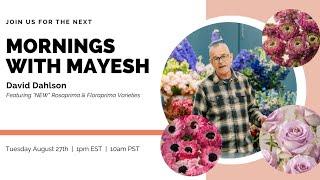 Mornings with Mayesh: NEW Rosaprima & Floraprima Flowers