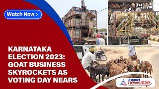 Karnataka Election 2023: Goat business skyrockets as voting day nears | Asianet Newsable