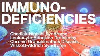 Chediak-Higashi vs. Chronic Granulomatous vs. Leukocyte Adhesion vs. Wiskott-Aldrich