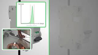 Disjuntor Termomagnético Easy 9 | Schneider Electric Brasil