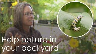 Why is it so important to plant native species? | Gardening for Wildlife Part 2