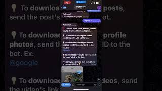 Telegram bot to Download Instagram Stories, Profile Pictures & Posts