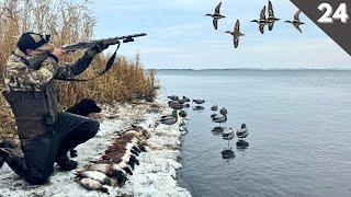 Duck Hunting The GRAND PASSAGE | Unexpected Mixed Bag On PUBLIC LAND