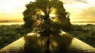Tree Of Life Ministries Intro