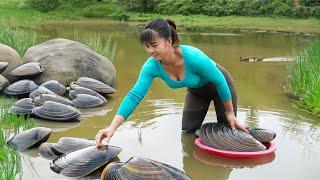 Harvesting A Lot Of Snails Goes To Market Sell - Take Care Ducks & Pigs | Phuong Daily Harvesting