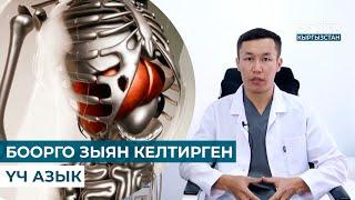 БООРГО ЗЫЯН КЕЛТИРГЕН ҮЧ АЗЫК