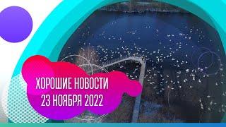 Хорошие новости: 23 ноября 2022 года