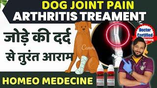 Arthritis in Dog | Home Treatment | Dogs | Puppies| Joint Pain Problems in Dogs | Home Remedies