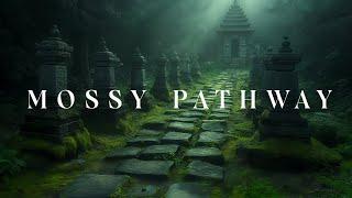 Mossy Pathway - Deep Ethereal Meditation Music - Healing Soundscape For Inner Peace