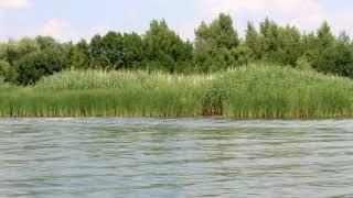 Футаж-релакс. Fausto-Papetti-Feelings.
