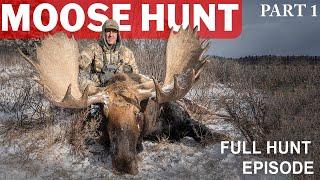 Alaska-Yukon Moose Archery Hunt: Part 1 I Greg McHale's Wild Yukon