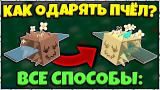 *GUIDE HOW TO GIFTED BEES* КАК ОДАРЯТЬ ПЧЁЛ в СИМУЛЯТОРЕ ПЧЕЛОВОДА! NEW BEES in Bee Swarm Simulator