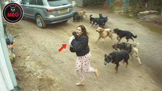 Incredible Moments Caught on Camera  (P164)
