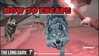 How to escape from Timberwolf? Как спастись от лесных волков? The Long Dark