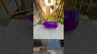 Bottle vs Stairs️ Rolling Bottles till the end ! #shorts
