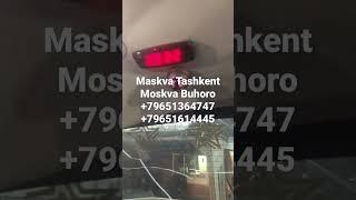 Moskva Tashkent avtobus #тезкор #xabarlar #musofir #musofirlar #musofirtv