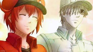 Cells at Work  [AMV] - You're The Worst