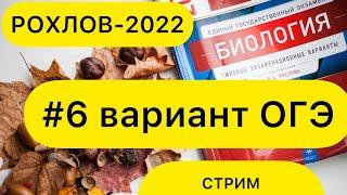 РАЗБОР ВАРИАНТА №6 РОХЛОВ ОГЭ - 2022