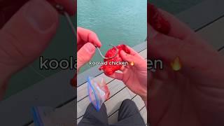 I Fished for CATFISH 