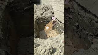 #dogcratoonvideo #shortvideo #funnyvideo #kidsvideo #viralvideo