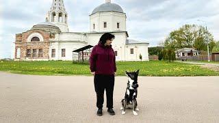 СЕРПУХОВ-едем погулять с собакой  ИНТЕРЕСНЫЕ места, отличия от Москвы и мои впечатления от города!