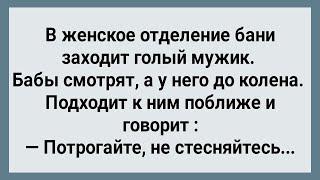 Мужик с Большим Хозяйством в Женской Бане! Сборник Свежих Анекдотов! Юмор!