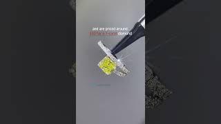 Yellow Diamond  | Vivid Yellow | Fancy Yellow | Yellow Moissanite | Yellow Lab Diamond | Tianyu Gems