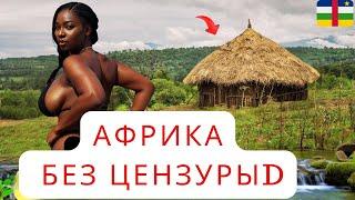 15 умопомрачительных фактов о Центральноафриканской Республике: самой уникальной стране мира