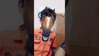 horse effect in mobile camera. #ytshorts