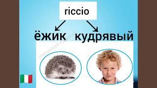  ОДНО СЛОВО - НЕСКОЛЬКО ЗНАЧЕНИЙ И ПЕРЕВОДОВ  ВЫ БУДЕТЕ УДИВЛЕНЫ  Итальянский язык