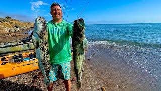 SLAYING Big Ling Cod and Rockfish in the Central Coast! (San Simeon Kayak Fishing)