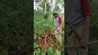AYAH AKU RINDU PADAMU