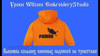 Вышивка на трикотаже  от Демина Сергея (СП) Wilcom EmbroideryStudio e4.2